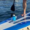 Portavasos para kayak, tabla de surf, botella de agua, tapa de vaso, marco de fijación, fijación con cordón, portavasos