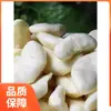 Honghu castanha de água fresca com casca velha castanha de água arroz verde castanha de água vegetais congelados a vácuo especialidade Hubei 3 libras frete grátis