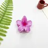 Pinza para el Cabello de Flor de Bauhinia Transfronteriza Europea y Americana para Mujer, Pinza de Tiburón de Alta Gama para la Parte Posterior de la Cabeza, Accesorio para el Cabello de Pinza Lateral al por Mayor