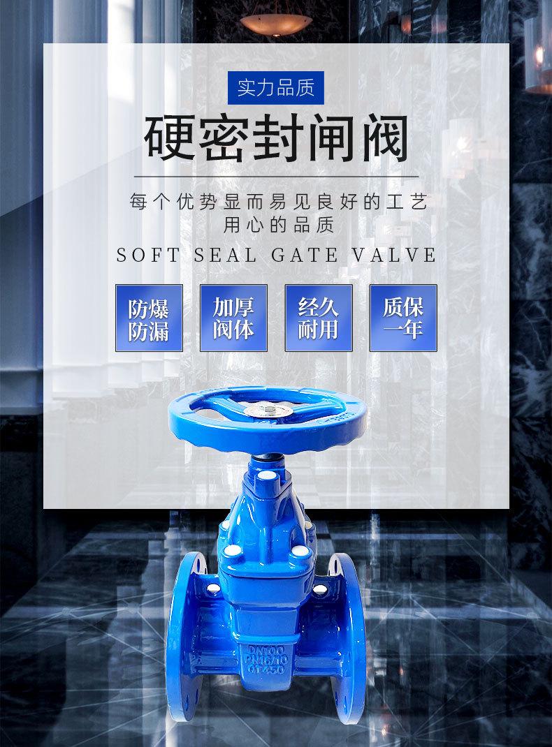 硬密封闸阀_01.jpg