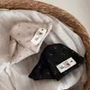 Pinza para el Pelo de Peluche Estilo Coreano para Otoño e Invierno, Dulce y Versátil, Pinza Lateral Linda, Pinza para Flequillo, Nuevo Accesorio para el Cabello