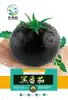 Semillas de Tomate Pequeño Semillas de Tomate Rojo Cereza Fruta en Maceta Semillas de Verdura Cuatro Estaciones