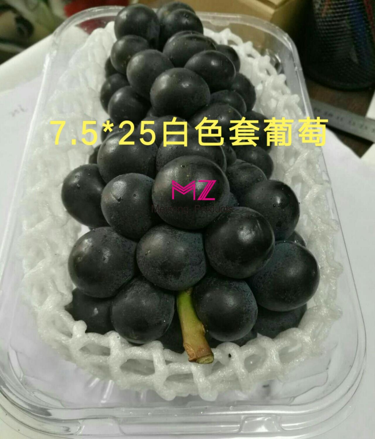 水果泡沫网套 (86)