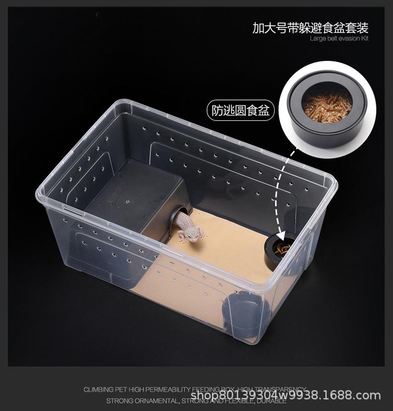 昆虫盒_12.jpg