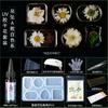 Planta seca flor coaster molde silicone abrasivo ferramenta em relevo cristal artesanal epóxi diy material resina AB cola caseira