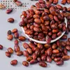 Acessórios de joias feitos à mão, materiais para sinos de vento, chocalhos de casca de fruta natural, chocalhos de sino DIY, chaveiros, pingentes para bolsas