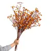 Estilo Wabi-Sabi Vid Artificial de Serpiente del Sur y Fruta de Serpiente del Sur, Instalación de Hotel, Arte Floral Vintage de Otoño, Adornos Decorativos para Sala de Estar