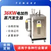 Generador de vapor de calefacción eléctrica de 36KW, de bajo consumo y respetuoso con el medio ambiente, no requiere inspección, seguro y estable
