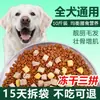 Alimento para Perros para Cachorros y Adultos, Universal para Cachorros, Husky, Corgi, Teddy, Pomerania, Golden Retriever, Labrador, Universal