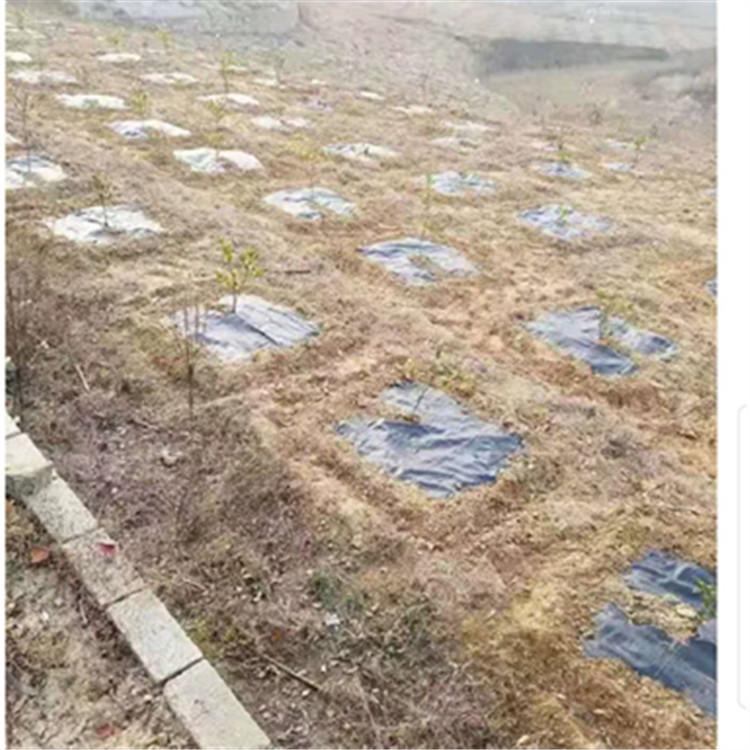 微信图片_20200313123606_副本