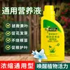 Solución Nutritiva Planta Tipo Universal Fertilizante para Flores Árbol del Dinero Planta Verde Flor Rábano Verde Fertilizante Spray Foliar para Macetas de Interior