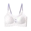 Venda Direta de Fábrica Vietnã Lingerie Sutiã Feminino Transfronteiriço Rússia Taiwan Amazon Mais Vendido Europeu Americano Tailândia