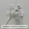 Capim Espargo, Capim Bigode de Dragão, Paisagismo de Plantas, Folhagem, Banquete de Casamento e Noivado, Display de Janela Suspenso Estilo Floresta, Arranjo Floral