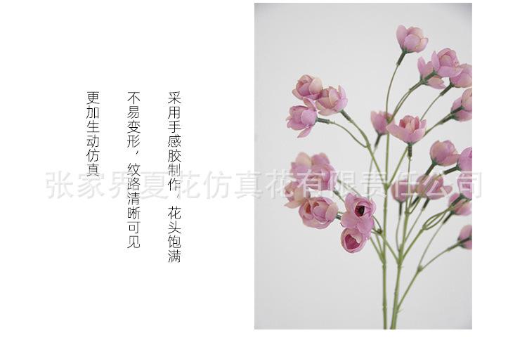 详情图_04.jpg