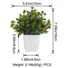 Planta Artificial em Vaso Eucalipto Grama de Primavera Grama Rohan Planta Verde Decoração de Mesa Decoração de Sala de Estar Planta Verde Artificial Transfronteiriça
