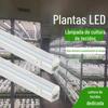 Lâmpada especial para cultura de tecidos imitação de sol led lâmpada de crescimento de plantas lâmpada de cultura de tecidos espectro completo tubo T5T6 com interruptor lâmpada