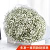 Yunnan Kunming Dounan Céu Estrelado flores secas naturais pesando Jin vendendo buquê grande de sala de estar fresca para decoração de casa frete grátis
