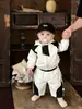 Atuendo Guapo Estilo Coreano de Principios de Primavera para Bebés Niños, Sudadera con Capucha de Bloques de Color Elegante de Primavera y Otoño y Pantalones Cargo Casuales