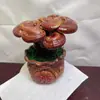 Entrega BásicaBonsai de Ganoderma Atmosférico e de Alta Qualidade Item de Presente Planta de Mesa Purifica o Ar Planta de Acúmulo de Virtude
