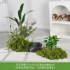 Musgo Sintético Decoración Suave para Interiores Conjunto de Micro Paisaje Combinación Exhibición en Ventana Pasillo Musgo Artificial Plantas Verdes Arreglo de Paisajismo Decoración