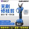 Tijeras de podar eléctricas personalizadas para ciervos, tijeras para árboles frutales, tijeras para jardinería, tijeras para ramas gruesas, tijeras para ramas altas, exportación transfronteriza