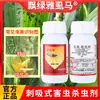 Insecticida Greenleaf para Pulgones, Clorofenpiridín, Clorfluazurón para Col, Trigo, Trips, Pulgones, Cicadélidos Verdes y Mosca Blanca