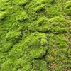 Musgo Artificial Gramado Artificial Tapete de Grama Musgo Verde Decoração para Fotografia de Bonsai Plantas Verdes Paisagismo de Micro-Paisagem Decoração com Flocagem Fabricante