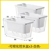 Maceta Rectangular de Autorriego para Uso Doméstico para Cultivar Cebollas, Maceta Pequeña para Cebollas de Balcón con Tierra, Maceta para Verduras con Pintura Colorida