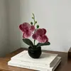 Xiao Er Hua Simulación Phalaenopsis Maceta Rayada Negra Bonsái Decoración Fotografía Interior Flor Artificial de Plástico Planta Pequeña en Maceta