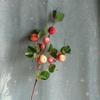 Rama de manzana de flor artificial limón naranja rama de manzana falsa decoración de flor falsa utilería rama de fruta artificial decoración arreglo floral