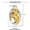 Serpiente Solar Bicolor Chapado en Oro DIY Colgante de Acero Inoxidable Collar con Colgante de Ojo de Diablo Femenino Joyería de Acero de Titanio