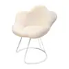 Silla de Maquillaje Dormitorio Silla Tocador Lujo Ligero Apartamento Pequeño Hogar Silla Flor de Ciruelo Cafetería Popular Tienda de Uñas Silla Decorativa