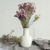 Seleção rigorosa de vaso de cerâmica branca flores secas pequenas frescas arranjo de flores para sala de estar estrela mesa decoração de casa ornamentos fabricantes