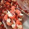 Pacotes de 1,5kg de Caudas de Lagosta Congeladas Pré-Cozidas para Lojas de Catering, Feiras Noturnas e Barracas de Comida