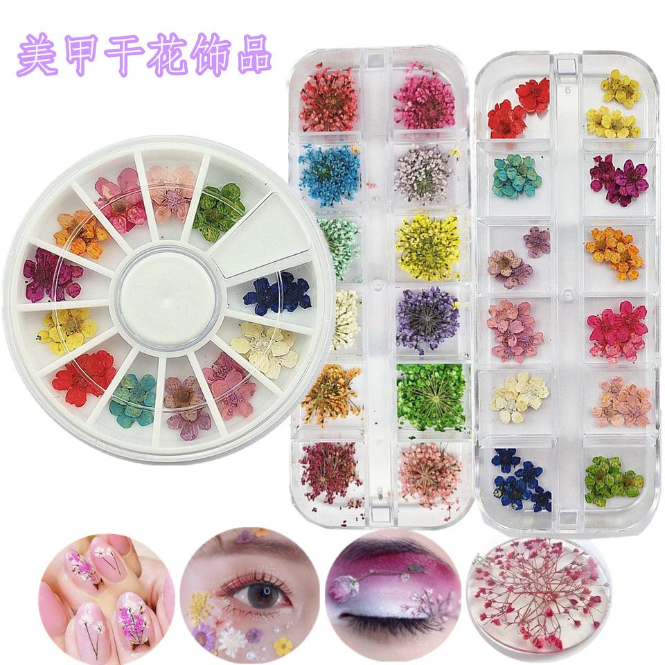 干花主图
