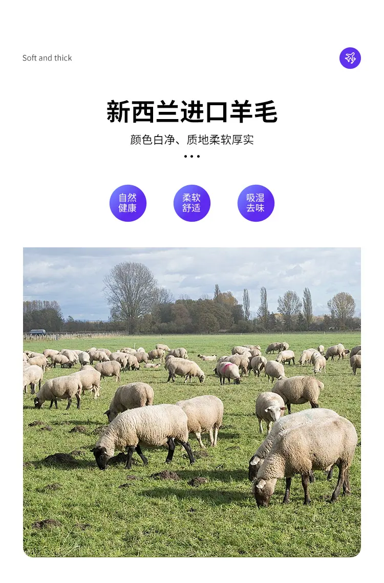 彩色详情_04.jpg