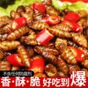 Crispy Larvas de Bicho-da-Seda Prontas para Comer Após Abrir Fritas com Cinco Especiarias Pequenas Larvas de Bicho-da-Seda Lanche Picante para Beber Especialidade de Shandong Lanche Alimentício Cozido Uso Comercial