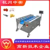 Equipamento de Balança Manual, Balança Eletrônica Combinada por Correia, Máquina Semi-Automática de Pesagem Quantitativa e Embalagem para Uvas e Frutas