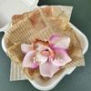 Cabeça de flor de cymbidium simulada cabeça de magnólia pessoas minoritárias DIY cocar grampo de cabelo caixa de presente combinando acessórios de grampo de cabelo decorativos