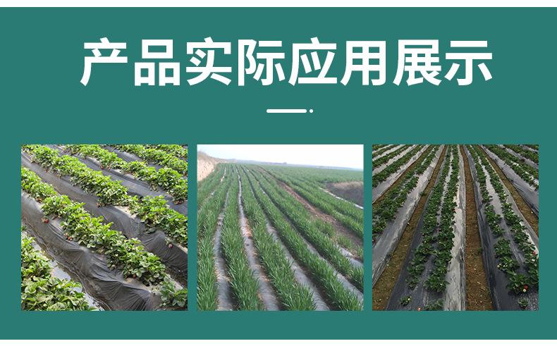地膜详情_09