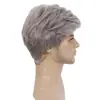 Comércio exterior peruca masculina europeia e americana cabelo curto bonito e volumoso peruca cinza fibra química touca atacado perucas masculinas