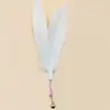 Juguete de caña para gatos de suelo con base de alambre de acero, nueva cabeza de repuesto de plumas duradera, resistente a las mordidas