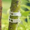 Clips para Plantas/Clips para Enredaderas Colgantes/Clips de Unión de Plástico para Enredaderas/Clips de Unión para Ramas/Clips para Colgar Enredaderas/Clips de Soporte para Enredaderas/Clips de Fijación para Enredaderas