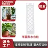 Suporte de haste de musgo para atacado, novo tipo de suporte para plantas, especificamente para plantas tropicais como monstera, pode ser emendado e fixado, uma ferramenta mágica para plantas trepadeiras