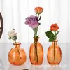 Estilo Escandinavo Vaso de Vidro Criativo Decorações Ornamentais para Sala de Estar Mesa de Café Arranjo de Flores Vaso Seco Garrafa de Vidro Colorida