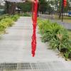 Juguete de pollo xilófono campana de golpeo bloque de madera de color accesorios para jaula de pollo espejo columpio soporte de madera de pimienta poste de soporte mordida