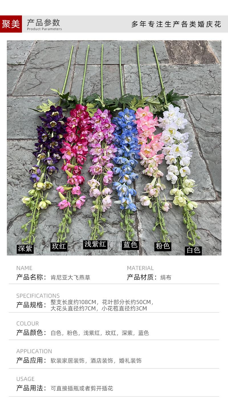 聚美-肯尼亚大飞燕草-详情_03.jpg