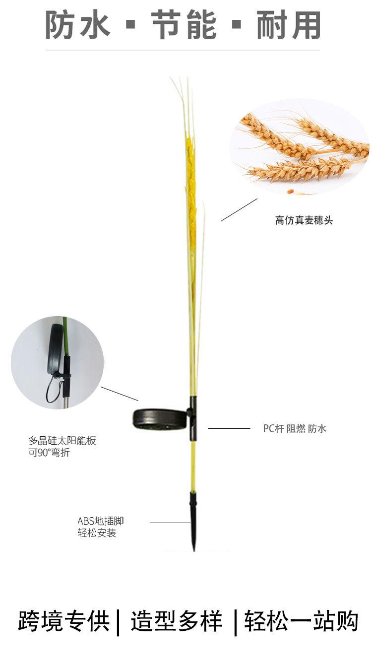 太阳能麦穗灯_05