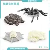 Simulación Transfronteriza Modelo de Araña Real Unicornio Insecto Juguetes para Niños Mariposa Abeja Adornos de Animales