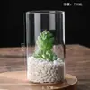 Jarrón para Plantas Hidropónicas Maceta de Vidrio Borosilicato Jarrón de Flores Artístico Botella Paisaje de Musgo Jarrón de Vidrio Recto